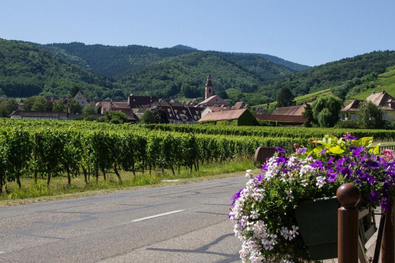 Hotel Berceau Du Vigneron Turckheim Bagian luar foto